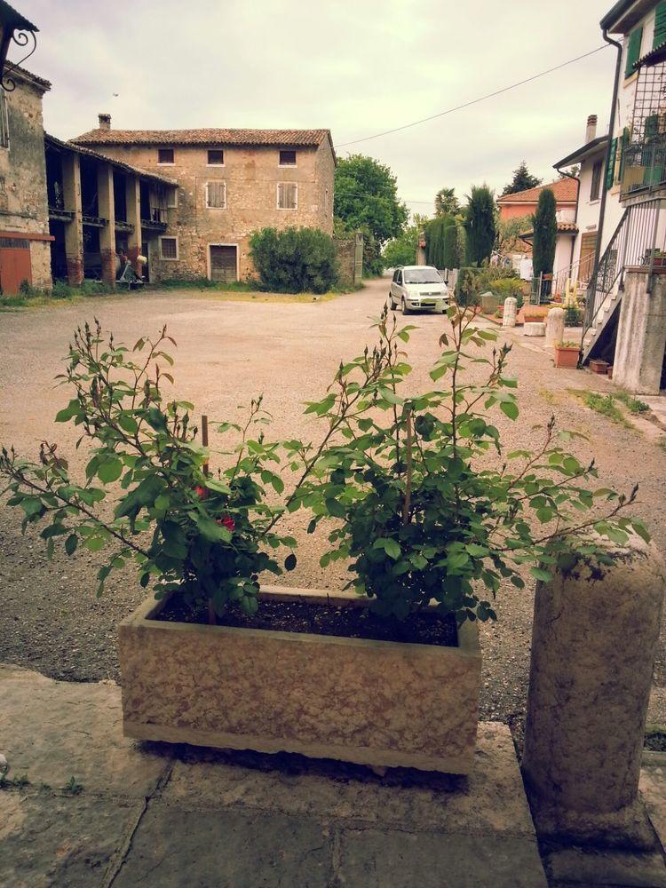 Albergo Mio Λατζίζε Εξωτερικό φωτογραφία